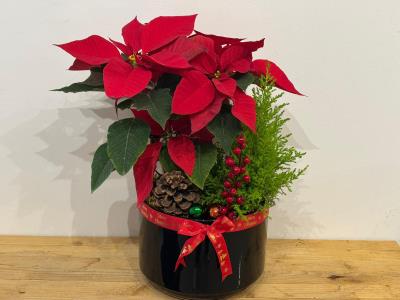 Festive Christmas Pot